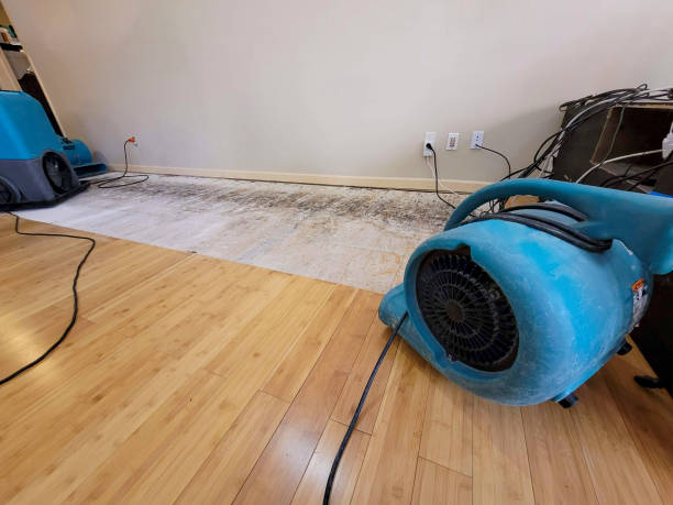 Professional Flood Damage Cleanup technician working in Abingdon, MD
